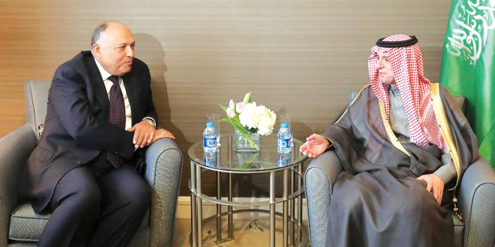 وزير الخارجية يستقبل في مقر إقامته بالأردن نظيره المصري 