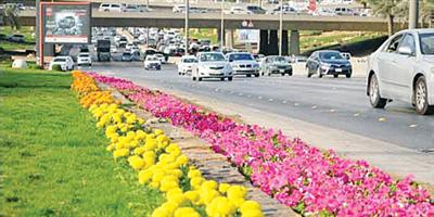 الرياض: خمسة ملايين زهرة تلطف الأجواء وترفع معدل الأكسجين 