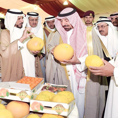 أمير منطقة نجران يفتتح مهرجان الحمضيات والاستثمار الزراعي 