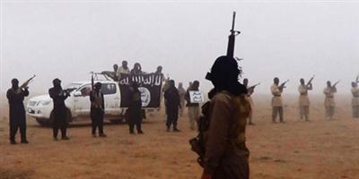 مقتل 16 مسلحًا من داعش وطالبان في عمليات أمنية بأفغانستان 