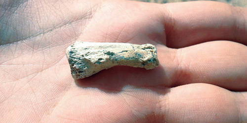 اكتشاف إصبع عمرها 85 ألف عام 