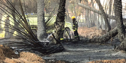 مدني منطقة تبوك يسيطر على حريق في مزارع استمر 8 ساعات في ضباء 