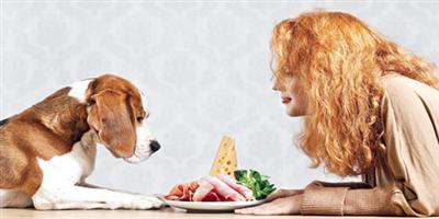 الكلاب قد تساعد في بحث سلوكيات البشر تجاه الطعام 