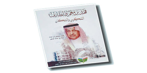  غلاف كتاب السالمي عن ابن معمر