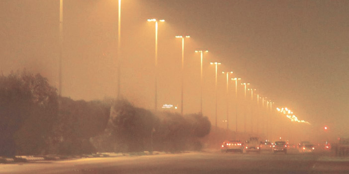 مستشفيات منطقة الرياض تستقبل «3160» حالة أزمة ربو بسبب الغبار 
