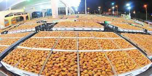 أمانة المدينة المنورة توقف استقبال منتجات المزارعين في مهرجان التمور خلال العيد 