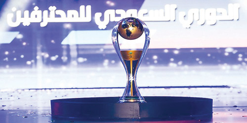  كأس دوري الأمير محمد بن سلمان