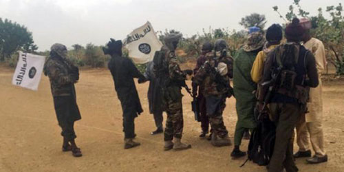 بوكو حرام الإرهابية تقتل تسعة قرويين في نيجيريا 