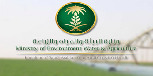 «البيئة» تعلن وظائف مؤقتة في الرياض 