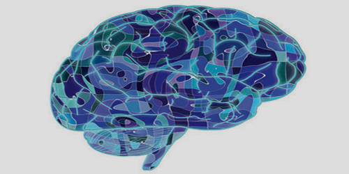 علماء يقتربون من صنع دماغ اصطناعي 