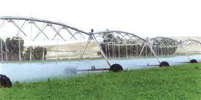 إيقاف زراعة الأعلاف توفر 8 مليارات م3 مياه جوفية 