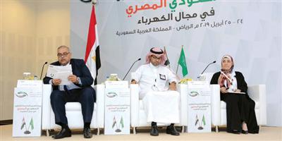 ورشة عمل سعودية- مصرية لتطوير الربط الكهربائي وكفاءة الطاقة 