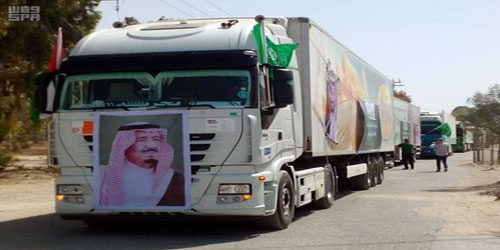 وصول شحنة سعودية من اللحوم لقطاع غزة 