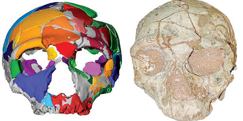 العثور على جمجمة تعود إلى 210 آلاف سنة في كهف يوناني 