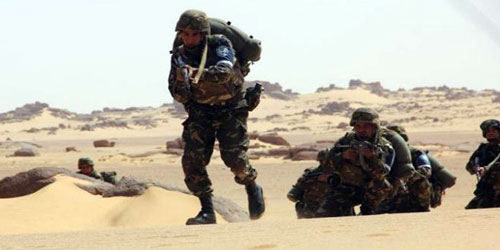 الجيش الجزائري يلقي القبض على إرهابي 