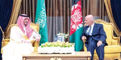 وزير الداخلية يبحث مع الرئيس الأفغاني التعاون الأمني بين البلدين 