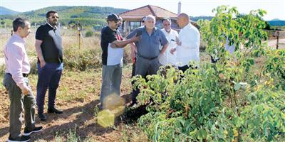«البيئة»: مزارعو الورد الطائفي يطلعون على تجربة بلغاريا في الإنتاج 