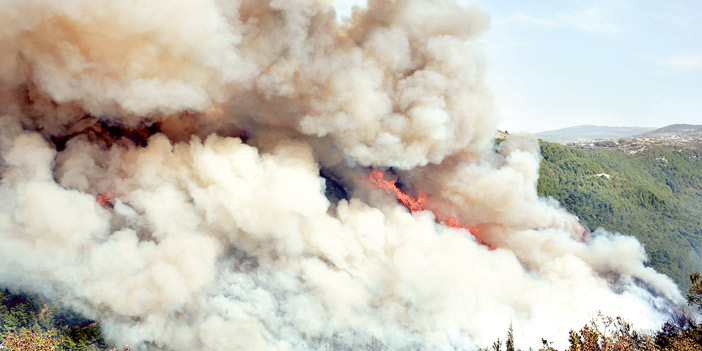  الحرائق تلتهم كثيراً من الغابات في لبنان