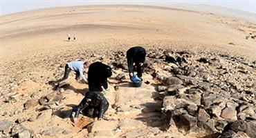 «مشروع الجزيرة العربية الخضراء» يستحضر مكانة المملكة التاريخية 