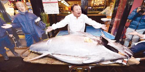 بيع سمكة تونة بـ(1.8) مليون دولار 