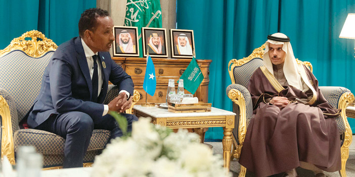  وزير الخارجية يلتقي وزير الخارجية الصومالي