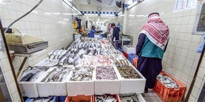 طن و470 كيلو أسماك فاسدة في الرياض 