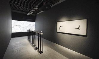 معرض «فوكاس» للفنان هراير في متحف الفن الحديث في فورت وورث 