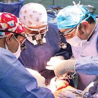 نجاح عملية جديدة لزراعة الكبد في المستشفى السعودي الألماني بجدة 
