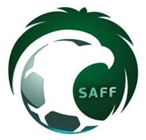 وصول 31 حكمًا أجنبيًا لقيادة مباريات دوري كأس الأمير محمد بن سلمان 