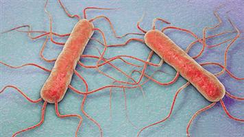 إعادة بكتيريا عمرها 100 مليون عام للحياة 