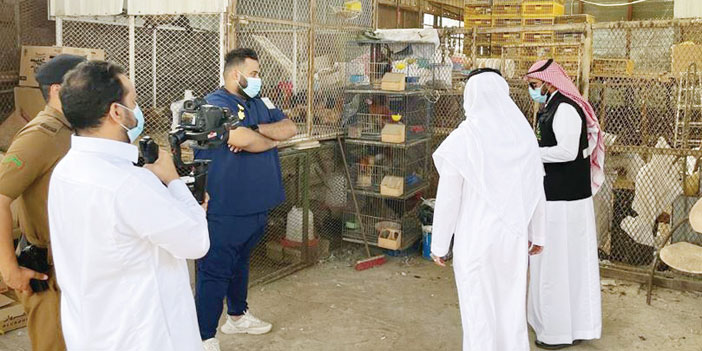 إغلاق حراج الطيور احترازيًا في جدة 