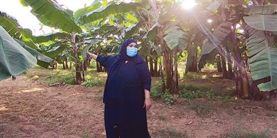 سيدة سعودية تنافس عالميًّا في زراعة الموز 
