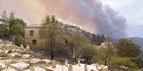  جانب من الحرائق التي شهدتها الجزائر