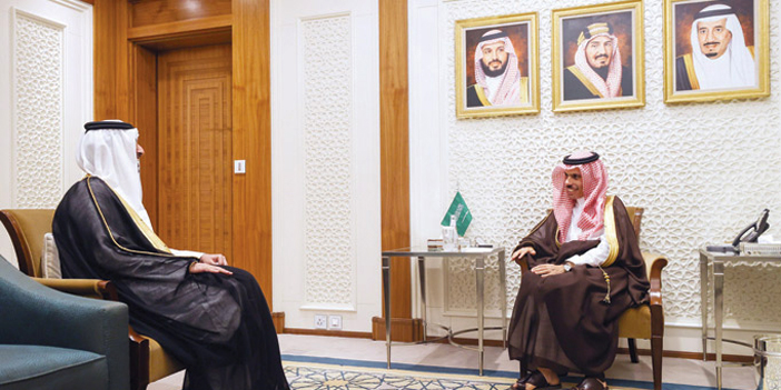 وزير الخارجية بحث مع السفير القطري التطورات الإقليمية والدولية 