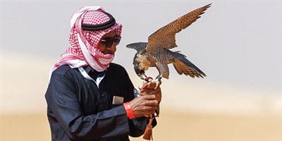 كأس «موسم الرياض» للصقور  بـ(4) أشواط لمسابقة الملواح 