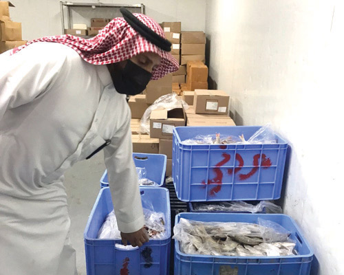 بلدية الجبيل تصادرة 500 كيلو من الأسماك الفاسدة 