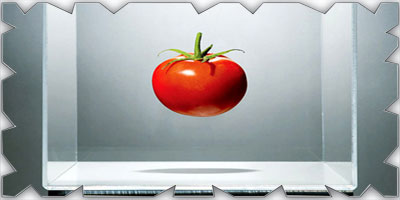 طماطم مُعدّلة وراثياً لإنتاج كمية فيتامين (د) تعادل ما تنتجه بيضتان 