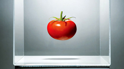 طماطم مُعدّلة وراثياً لإنتاج كمية فيتامين (د) تعادل ما تنتجه بيضتان 