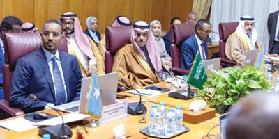 وزير الخارجية يشارك في اجتماع مجموعة العمل الوزارية بشأن دعم الصومال ومتابعة التدخلات التركية 