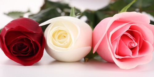 العثيمين يتابع عن بعد ...