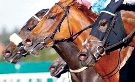 (سنجلات) السهم الذهبي.. في كأس اليابان