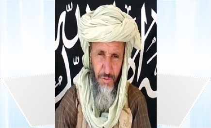 القاعدة تنصب عكاشة زعيماً لها 