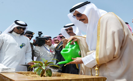 أمير منطقة جازان يغرس أول شجرة إيذاناً بتدشين أسبوع الشجرة 36