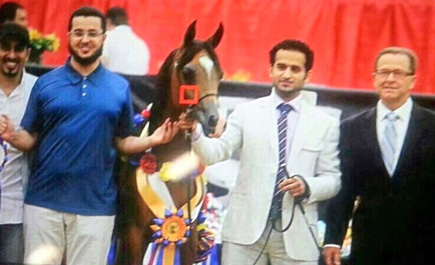 البرغش يحقق إنجازاً ويحصل على المركز الأول  في بطولة العالم لجمال الخيول الواعدة 