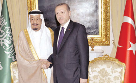نائب رئيس مجلس الوزراء.. والمتحدث الرسمي بالخارجية.. والسفير التركي لدى المملكة في تصريحات لـ(الجزيرة): 