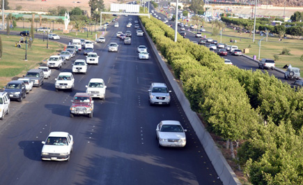 تعزيز جهود النظافة والإصحاح البيئي بمركزي الشفا والهدا السياحيين