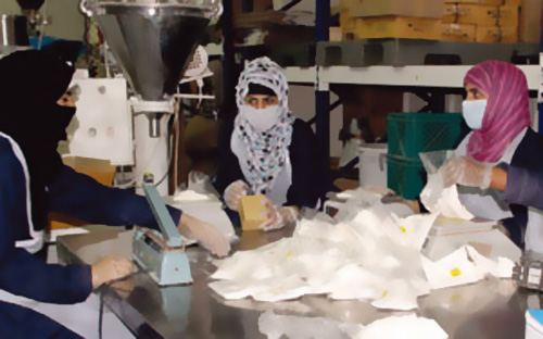 حملة لحصر وظائف القطاع الصناعي القابلة «للتأنيث»