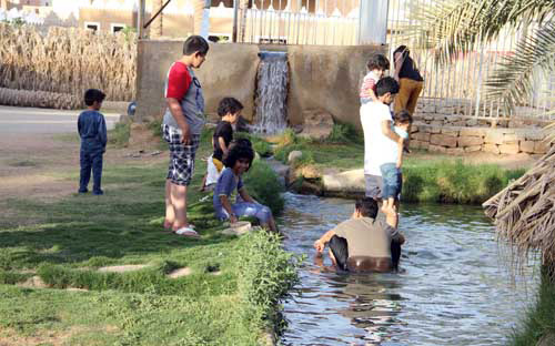 مزارع عنيزة القديمة.. مقصد جميل للأهالي والسياح ومتنفس للمتنزهين