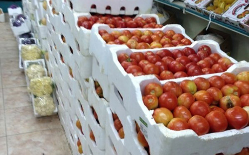 الجوف: حملة «خلوها تعفن» تهوي بأسعار الطماطم من (60) إلى (12) ريالاً في يومين 