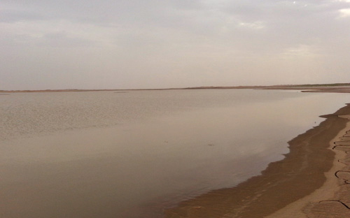 بحيرات من مياه الأمطار وسط الكثبان الرملية بوادي الدواسر 